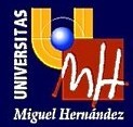 Universidad Miguel Hern�ndez
